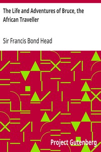 Cover of The Life and Adventures of Bruce, the African Traveller — A Closer Reading